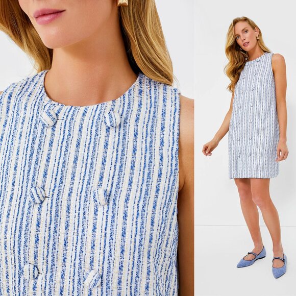 Tuckernuck NEW Ethereal Tweed Bianca Sleeveless Blue Stripe Mini Dress Size S - Picture 4 of 12